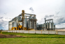 AfDB Pumps $159.5 Million Loan to Unlock Central DRC’s Agro-Industrial Potential