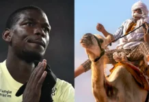 Pogba invests in Saudi Arabian camel racing team