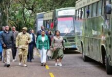 KWS re-introduces bus shuttle services to national parks for holidays, weekends