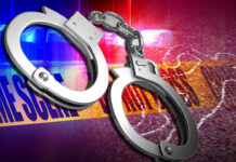 3 chiefs among 29 arrested in crackdown on forgery of documents