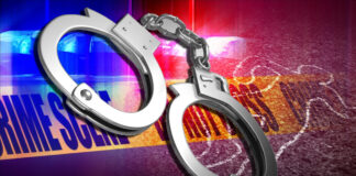 3 chiefs among 29 arrested in crackdown on forgery of documents