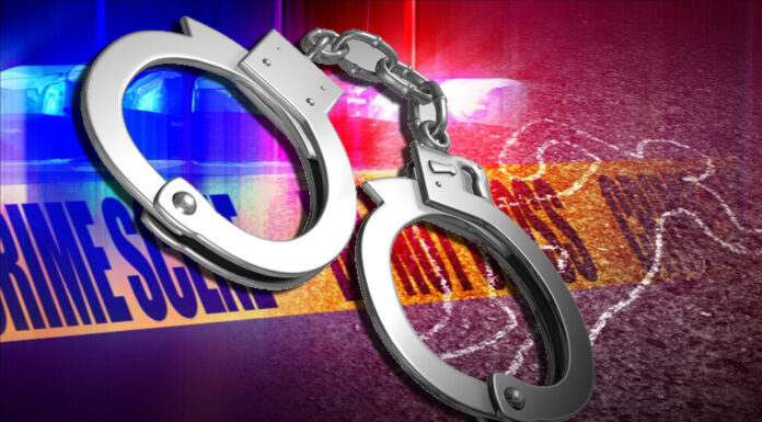 3 chiefs among 29 arrested in crackdown on forgery of documents