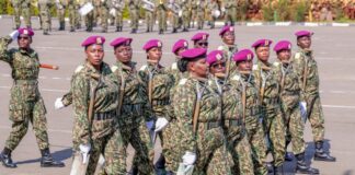NYS Announces 410 Opportunities for Graduates in Saudi Arabia