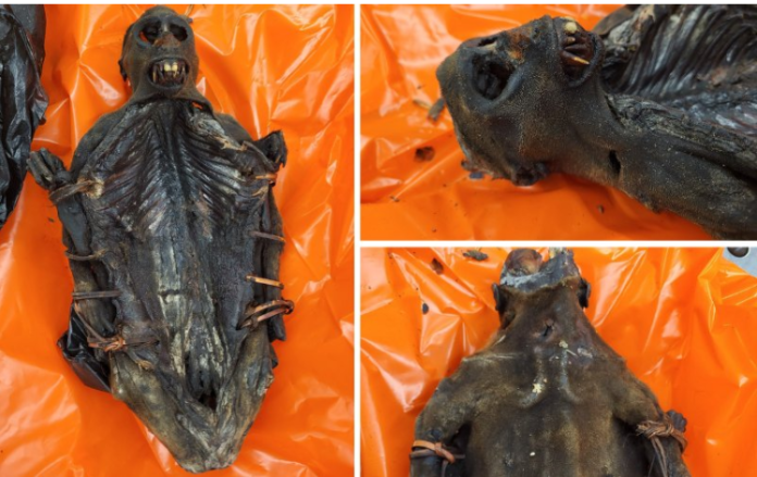 Screenshot 2025-12-30 152522