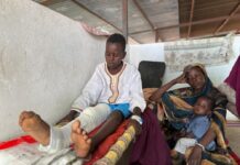 Attack on Hospital in Sudan Kills More Than 100, WHO Reports