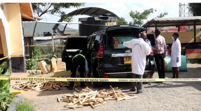 Prado ferrying bhang worth Ksh14.2 million intercepted after high-speed chase in Machakos