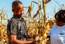 African Development Fund’s 17th Replenishment: Mobilising Stronger Investment for Africa’s Development