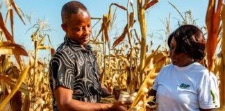 African Development Fund’s 17th Replenishment: Mobilising Stronger Investment for Africa’s Development