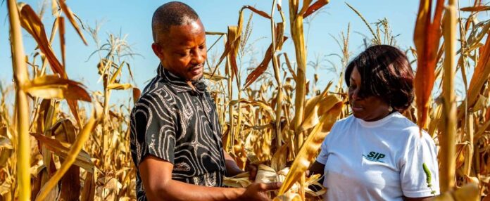 adf-17-curtain-raiser