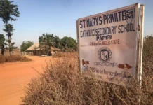 Nigeria Secures Release of Another 130 Abducted Schoolchildren