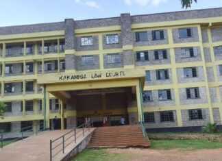 High Court Overturns Magistrate, Upholds ODPP’s Diversion Decision in Kakamega Case