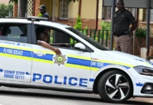 At least 11 killed in South Africa mass shooting