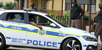 At least 11 killed in South Africa mass shooting