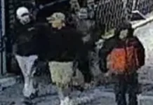 ‘High-Value’ Museum Raid Nets Hundreds of Items