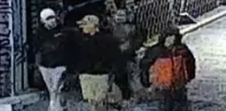 ‘High-Value’ Museum Raid Nets Hundreds of Items