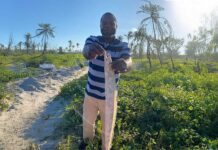 African Development Bank Project Benefits 2 Million, Transforms SADC Fisheries