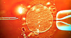 Fertility Clinic Used Sperm from Donor with Cancer Gene, Fathering Nearly 200 Children