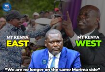 Ruku: Mt Kenya Political Base Must be Separated into Two
