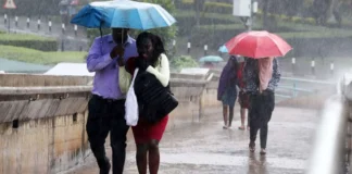 Kenya Met Predicts Rainfall in Seven Regions This Week