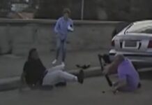 Dashcam video shows couple trying to stop gunman before being killed in Bondi attack