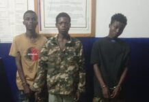 Three Gang Suspects Arrested in Joint Police Operation in South Coast