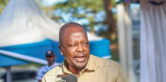 Kenya To Set Up Animal Feed Reserves To Cut Sh50Bn Drought Losses