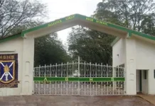 Alliance Girls Ranks Among Top KCSE Performers with Strong Grade Profile