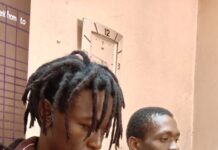 Two Arrested as Police Seize Cannabis Worth Ksh630,000 in Meru