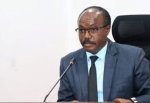 Gov’t Warns Against 20 Student Recruitment Agencies