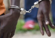 High Court Rejects Mass Release of Robbery With Violence Inmates, Cites Public Safety