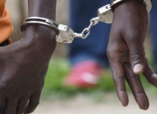 High Court Rejects Mass Release of Robbery With Violence Inmates, Cites Public Safety