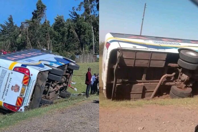 WhatsApp Image 2026-01-06 at 12.37.04-1767692241