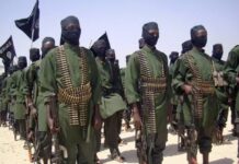 Somalia forces kill more than 130 Al-Shabaab militants in major Lower Juba offensive