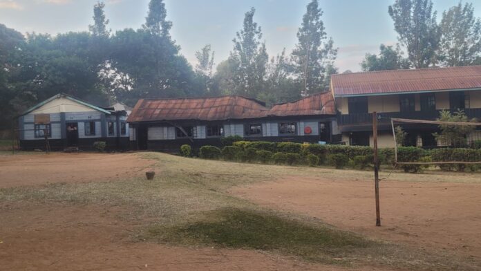 WhatsApp Image 2026-01-26 at 12.26.39