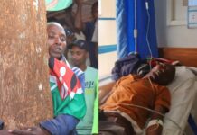 Mbeere Man Hospitalised After 90-Hour Tree-Hug Protest for Roads, Power and Hospital in His Village