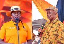‘There is no family feud’ – Winnie Odinga addresses alleged feud with Oburu Oginga