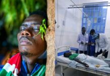 Pastor James Irungu Collapses During 80-Hour Tree-Hugging Challenge, Rushed to Hospital