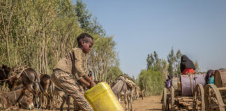 Neglect Forces Bori Residents Out: Life Without Water or Care