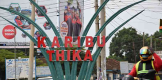 Senate invites public views on bid to elevate Thika to city status
