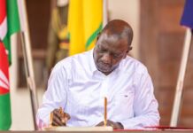 President Ruto Appoints Chairperson, Six Members of National Land Commission