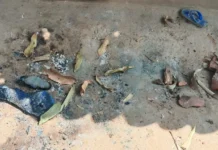 Mother and infant burnt to death in Indian state over witchcraft allegations