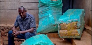 Detectives Recover 376kg Of Bhang In Nairobi And Makueni Drug Busts