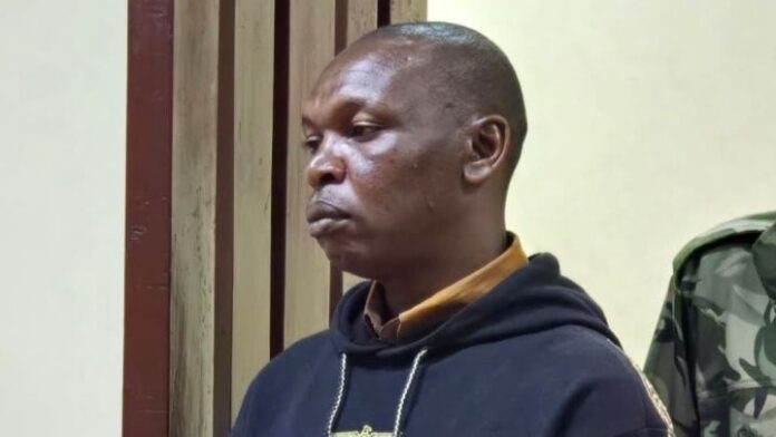 IMG-20260219-WA0009-1771503151