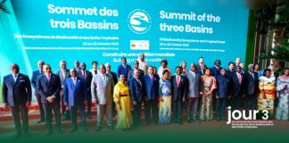Congo Basin summit: Leaders seek more money for forests and the Blue Fund