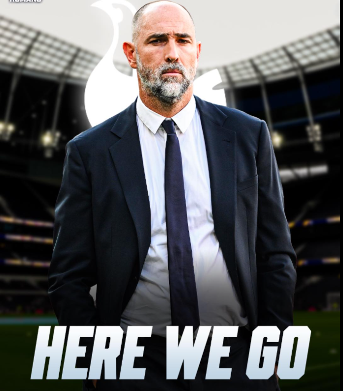 Screenshot 2026-02-13 174225