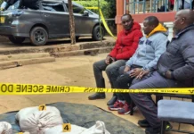 Three arrested with over 1,000kg of suspected zebra meat in Kiambu