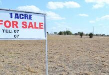 Public Land Grab Allegations Spark Outrage as Questions Mount Over Ksh 11 Billion Compensation Claim