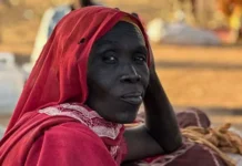 UN sanctions paramilitary leaders over Sudan atrocities