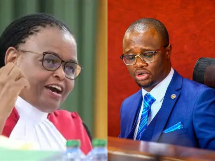 collage - 2026-02-25T125324.493