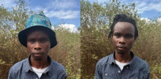 Man Arrested for Sharing Threatening Messages on TikTok